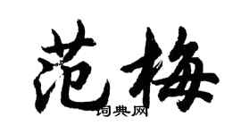 胡问遂范梅行书个性签名怎么写