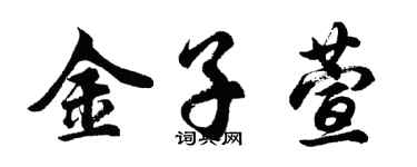 胡问遂金子萱行书个性签名怎么写