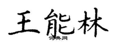 丁谦王能林楷书个性签名怎么写