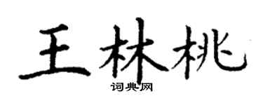 丁谦王林桃楷书个性签名怎么写