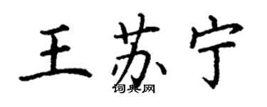 丁谦王苏宁楷书个性签名怎么写