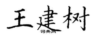 丁谦王建树楷书个性签名怎么写