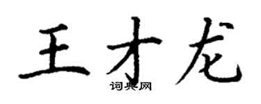 丁谦王才龙楷书个性签名怎么写