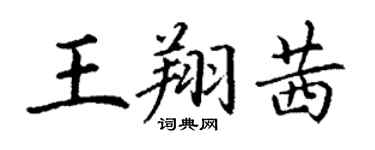 丁谦王翔茜楷书个性签名怎么写