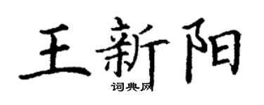 丁谦王新阳楷书个性签名怎么写