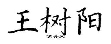 丁谦王树阳楷书个性签名怎么写