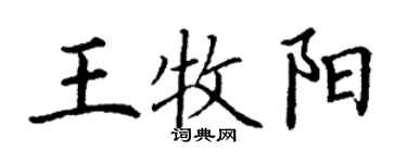 丁谦王牧阳楷书个性签名怎么写