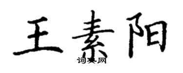 丁谦王素阳楷书个性签名怎么写