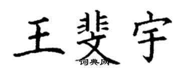 丁谦王斐宇楷书个性签名怎么写