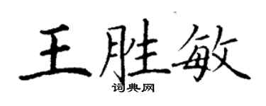 丁谦王胜敏楷书个性签名怎么写