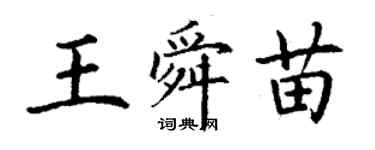 丁谦王舜苗楷书个性签名怎么写