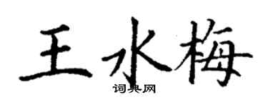 丁谦王水梅楷书个性签名怎么写