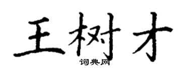 丁谦王树才楷书个性签名怎么写
