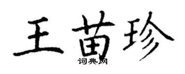 丁谦王苗珍楷书个性签名怎么写