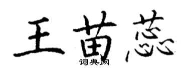 丁谦王苗蕊楷书个性签名怎么写