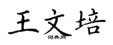 丁谦王文培楷书个性签名怎么写