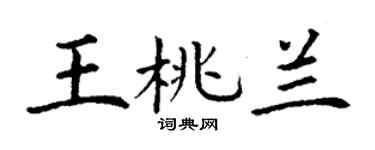 丁谦王桃兰楷书个性签名怎么写