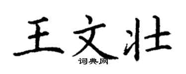 丁谦王文壮楷书个性签名怎么写