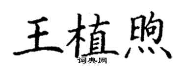 丁谦王植煦楷书个性签名怎么写