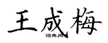 丁谦王成梅楷书个性签名怎么写