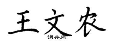 丁谦王文农楷书个性签名怎么写