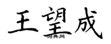 丁谦王望成楷书个性签名怎么写