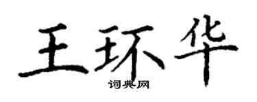 丁谦王环华楷书个性签名怎么写