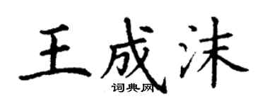 丁谦王成沫楷书个性签名怎么写