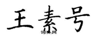丁谦王素号楷书个性签名怎么写