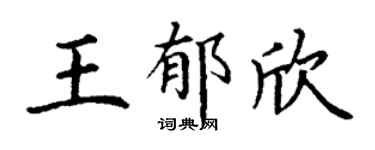 丁谦王郁欣楷书个性签名怎么写