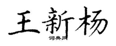 丁谦王新杨楷书个性签名怎么写