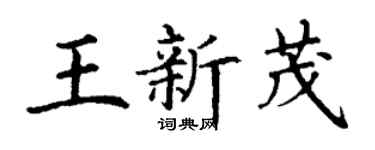 丁谦王新茂楷书个性签名怎么写