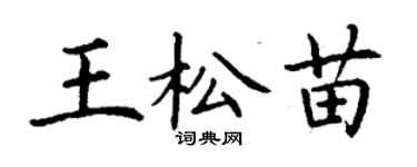 丁谦王松苗楷书个性签名怎么写
