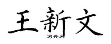 丁谦王新文楷书个性签名怎么写