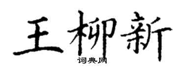 丁谦王柳新楷书个性签名怎么写