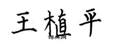 何伯昌王植平楷书个性签名怎么写