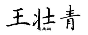 丁谦王壮青楷书个性签名怎么写