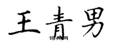 丁谦王青男楷书个性签名怎么写