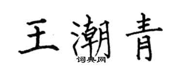 何伯昌王潮青楷书个性签名怎么写