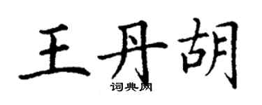 丁谦王丹胡楷书个性签名怎么写