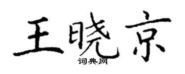 丁谦王晓京楷书个性签名怎么写