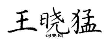 丁谦王晓猛楷书个性签名怎么写