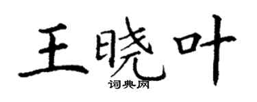 丁谦王晓叶楷书个性签名怎么写