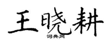丁谦王晓耕楷书个性签名怎么写