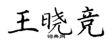 丁谦王晓竞楷书个性签名怎么写