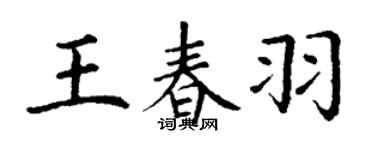 丁谦王春羽楷书个性签名怎么写
