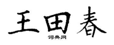 丁谦王田春楷书个性签名怎么写