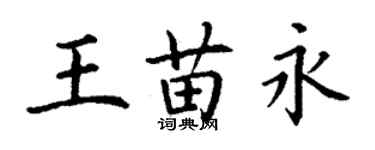 丁谦王苗永楷书个性签名怎么写
