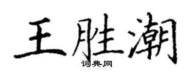 丁谦王胜潮楷书个性签名怎么写