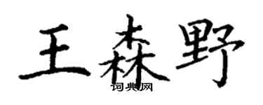 丁谦王森野楷书个性签名怎么写